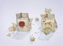 �C���X�g���[�V�����@(C) AMANO